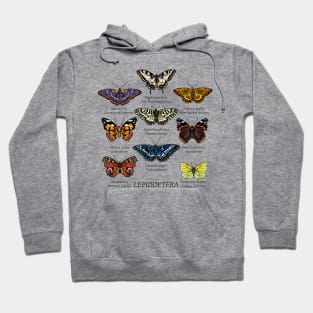 Butterfly species 2. Hoodie